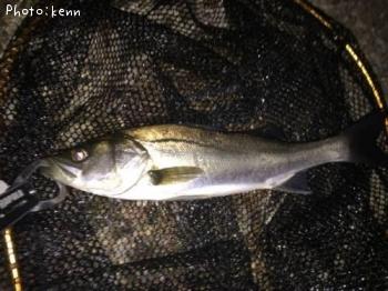 �����Х�