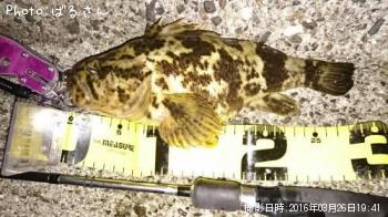 �٥å�������