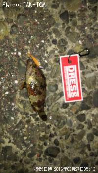 �������Х�