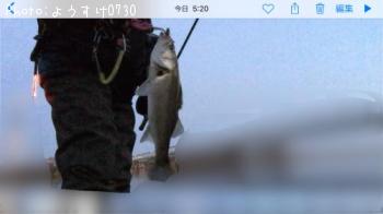 �����Х�