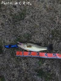 �֥�å��Х�