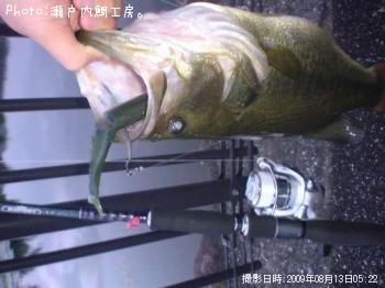 �֥�å��Х�