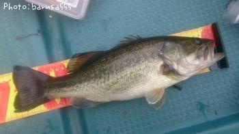 ¥Ö¥é¥Ã¥¯¥Ð¥¹