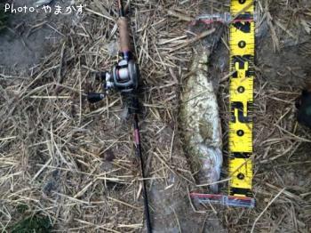 �֥�å��Х�