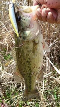 ¥Ö¥é¥Ã¥¯¥Ð¥¹