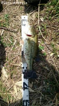 ¥Ö¥é¥Ã¥¯¥Ð¥¹