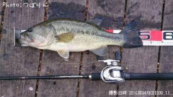 �֥�å��Х�