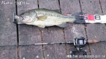 ¥Ö¥é¥Ã¥¯¥Ð¥¹