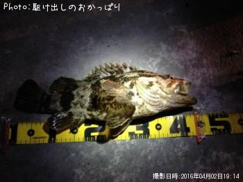 �����Υ���Х�