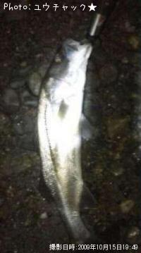 ���ڤ���