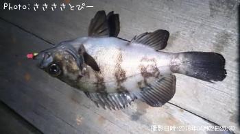 �����Х�����Х���ʥޥ�