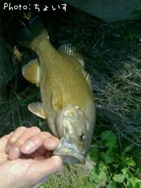 ���⡼��ޥ���