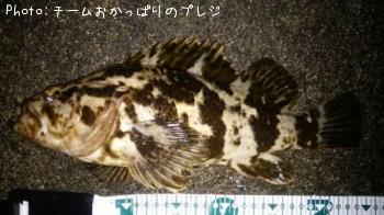 �����Υ���Х�