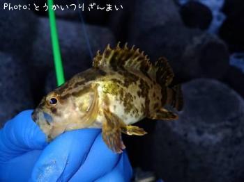 ¥¿¥±¥Î¥³¥á¥Ð¥ë