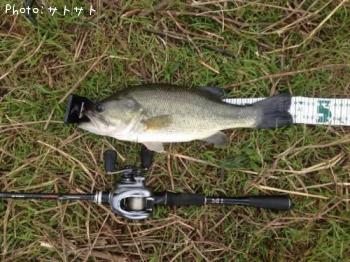 �֥�å��Х�