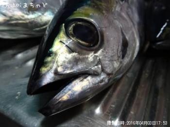 �ߡ����ӡڥ�Х��ޥ�����