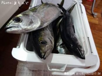 �ߡ����ӡڥ�Х��ޥ�����