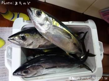 �����塼�ڥ��ĥ���