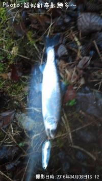 ���ĥ��ޥ�