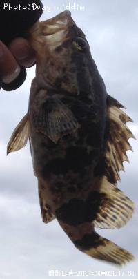 �����Υ���Х�