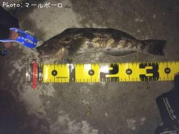 �����ʥ�