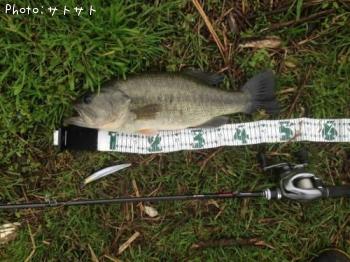 �֥�å��Х�