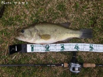 �֥�å��Х�