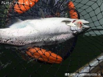 ������ޥ�