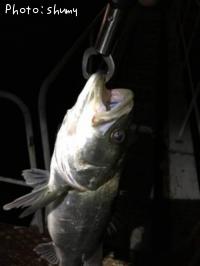 �����Х�����