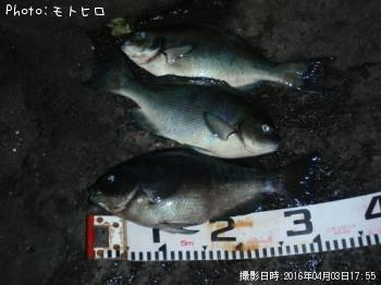 �����᥸��