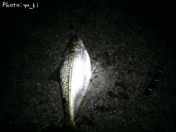���Υ���