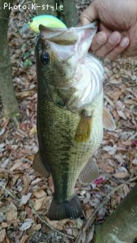 �֥�å��Х�