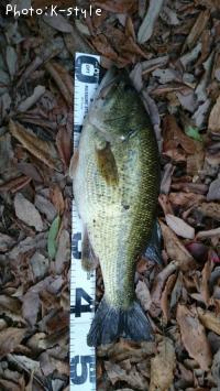 �֥�å��Х�