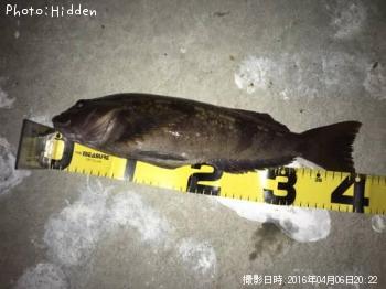 �����ʥ�