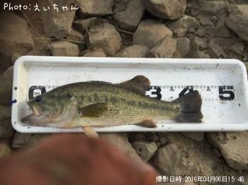 ¥Ö¥é¥Ã¥¯¥Ð¥¹