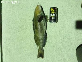 �����ʥ�