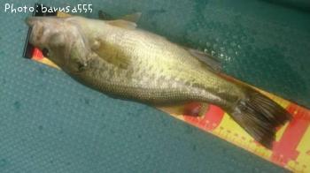 �֥�å��Х�