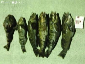 �����ʥ�