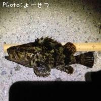 ¥¿¥±¥Î¥³¥á¥Ð¥ë