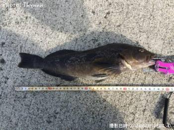 �����ʥ�