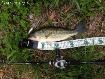 ¥Ö¥é¥Ã¥¯¥Ð¥¹