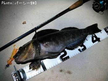 �����ʥ�