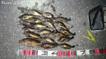 ����������Ф�