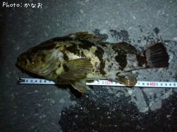 �����Υ���Х�