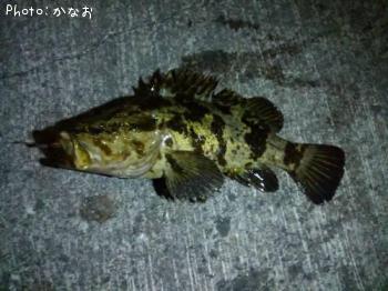 �����Υ���Х�