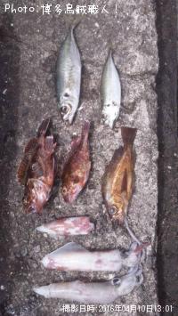 ��������Х롢�����������󥵥�����