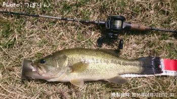 �֥�å��Х�