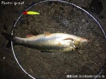 �ޥ륿������