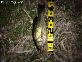 �֥�å��Х�