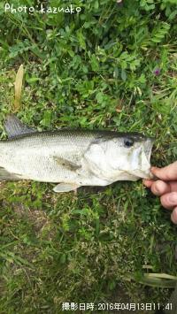 �֥�å��Х�